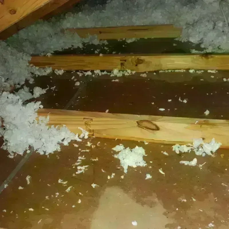 Attic Water Damage in Plymouth, ME